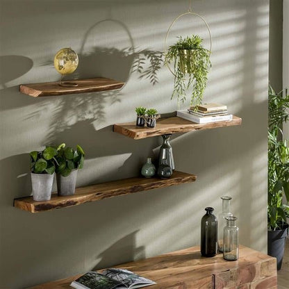 Industrial Wall Shelf with Black Frame for Books, Plants, and Decor - view 3
