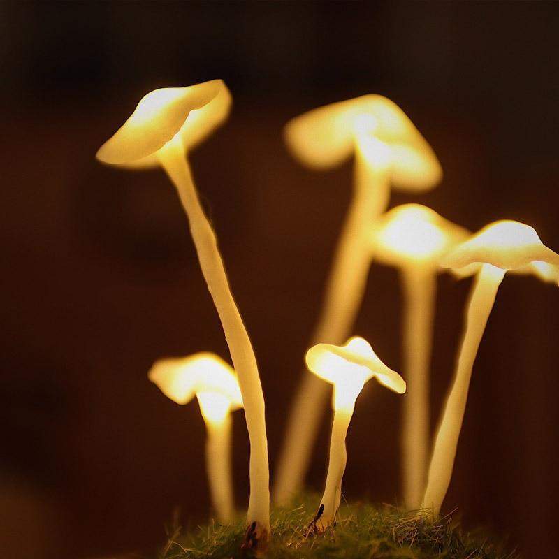 DIY Mushroom Lamp – Creative Table Decor for Living Room or Bedroom - view 7
